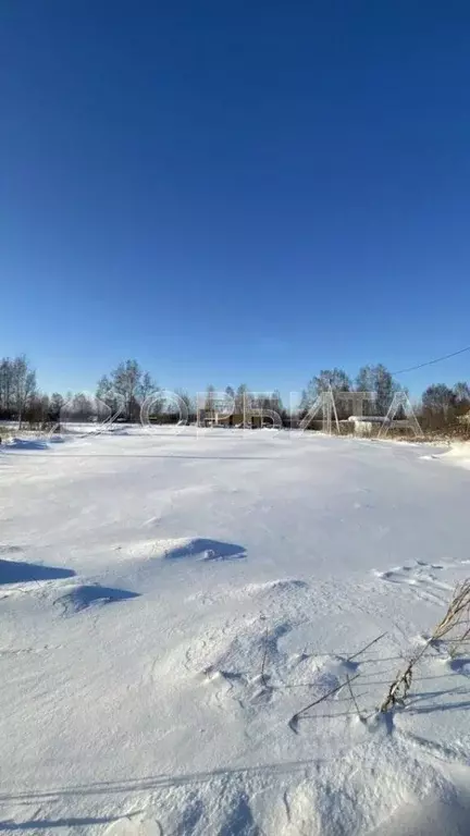 Участок в Тюменская область, Тюмень Велижанский тракт, 9-й км (45.0 ... - Фото 1