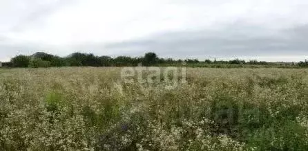 Участок в Орловская область, Орловский район, пос. Добрый, д. ... - Фото 2