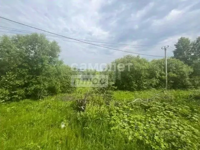 Участок в Амурская область, Благовещенский район, Малина СТ  (6.0 ... - Фото 1