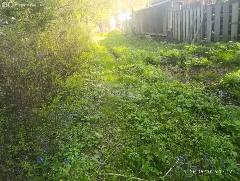 Участок в городской округ Красноярск, деревня Минино (15.8 м) - Фото 2