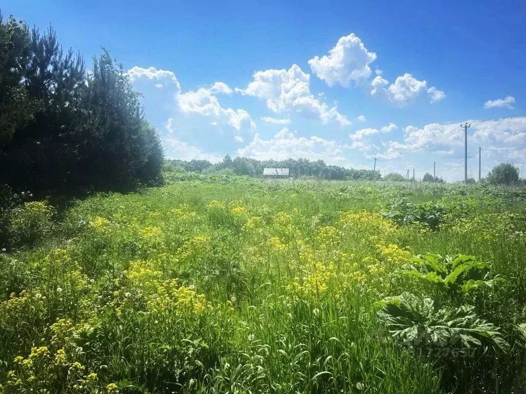 Участок в Тульская область, Тула городской округ, д. Новая Знаменка ... - Фото 1