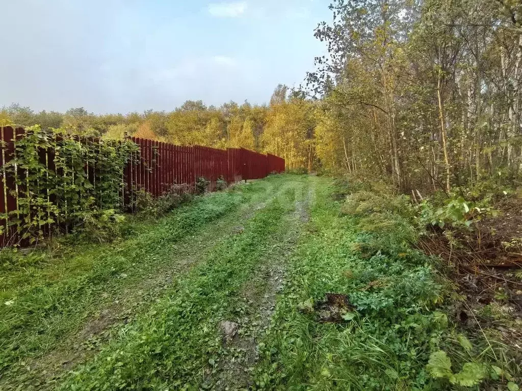 Участок в Сахалинская область, Южно-Сахалинск Малыш СНТ, 5 (12.7 сот.) - Фото 1