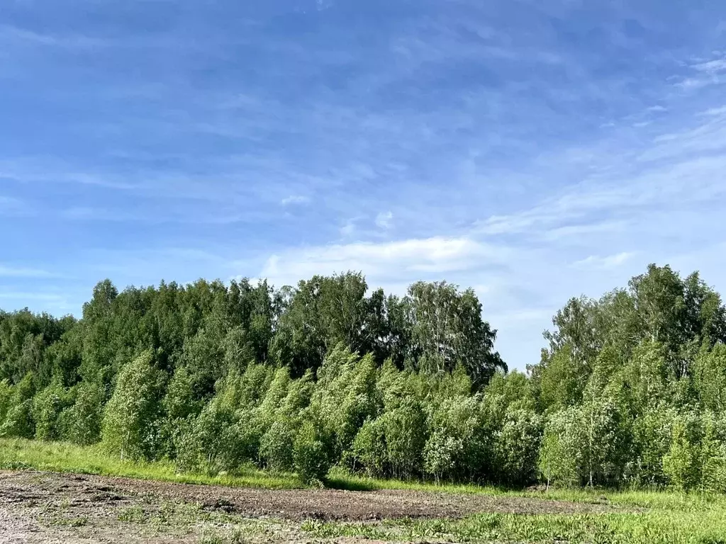 Участок в Томская область, Томский район, д. Новомихайловка, Кедры ДНП ... - Фото 2