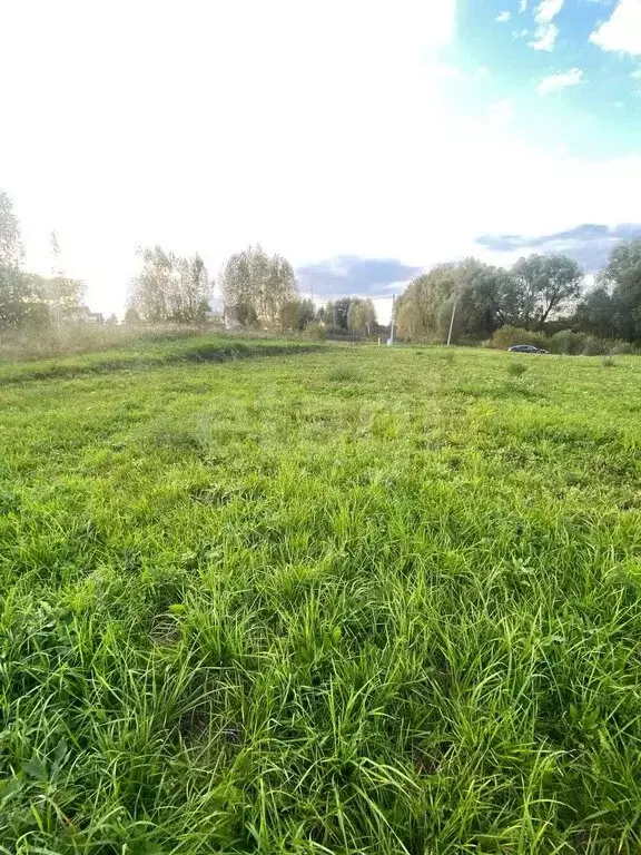 Участок в село Берёзово, улица Чапаева (10 м) - Фото 2