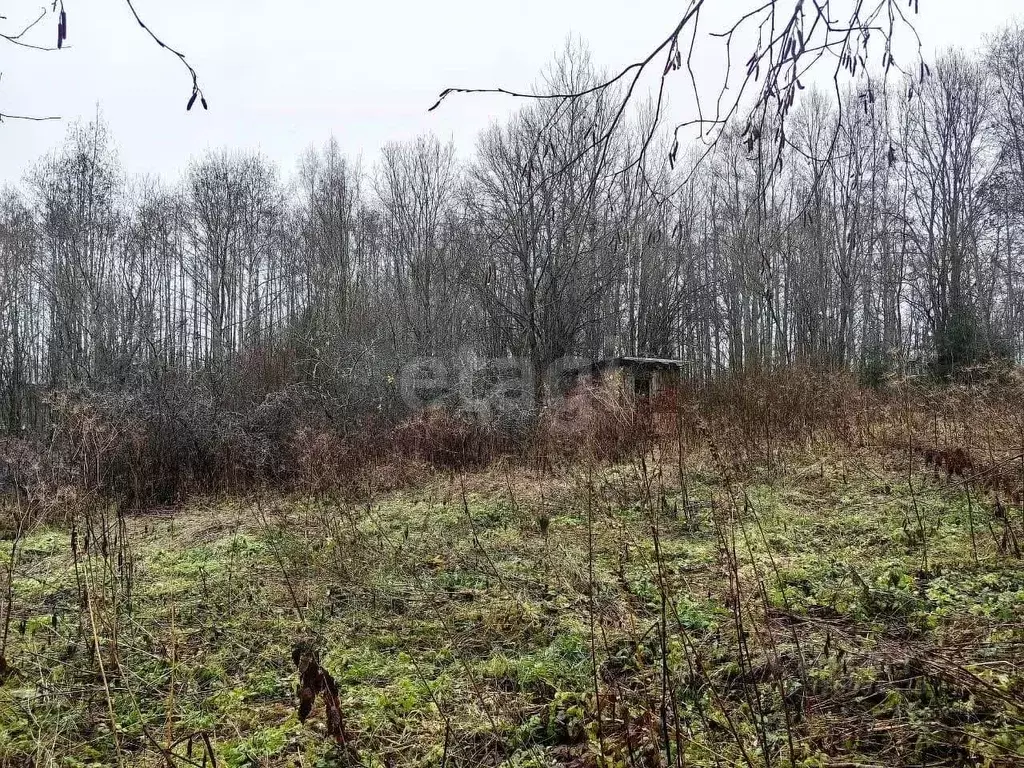 Участок в Ленинградская область, Волхов Виковщина мкр,  (10.0 сот.) - Фото 0