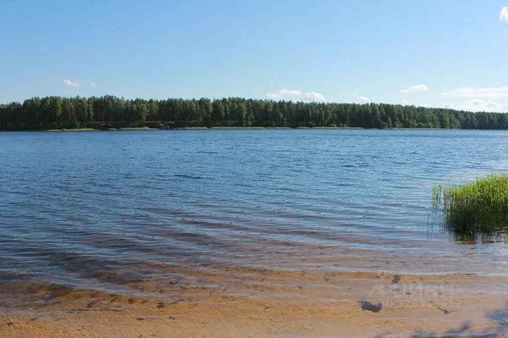 Участок в Псковская область, Гдовский муниципальный округ, д. Озера  ... - Фото 1