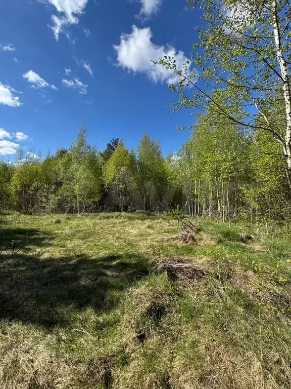 Участок 9,8 сот. (ИЖС) - Фото 0