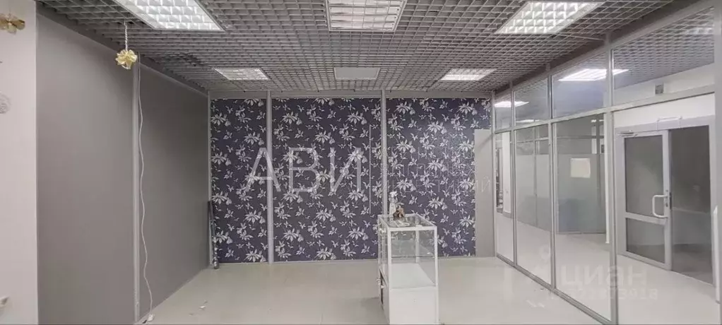 Офис в Новосибирская область, Новосибирск ул. Мичурина, 10/1 (25 м) - Фото 2
