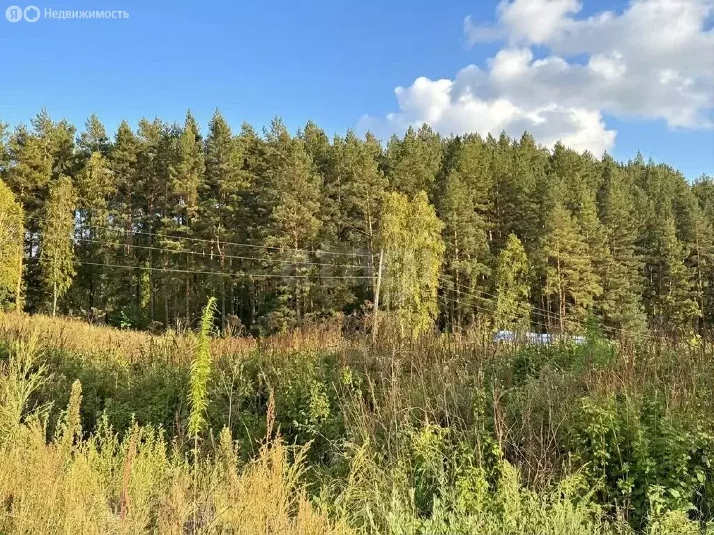 Участок в село Нижнекаянча, улица Куйбышева (10 м) - Фото 1