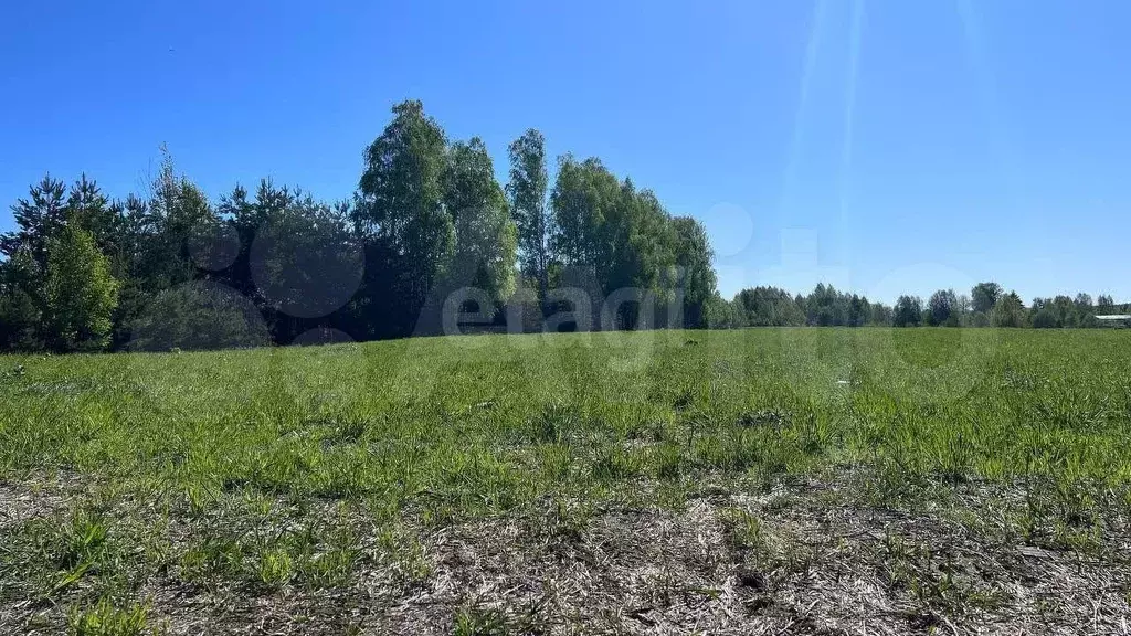 Участок 1,01 га (СНТ, ДНП) - Фото 1