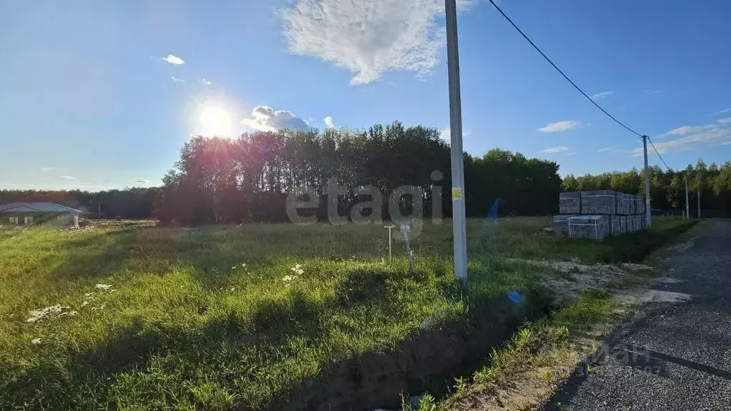 Участок в Тюменская область, Тюменский район, с. Кулига  (8.0 сот.) - Фото 1