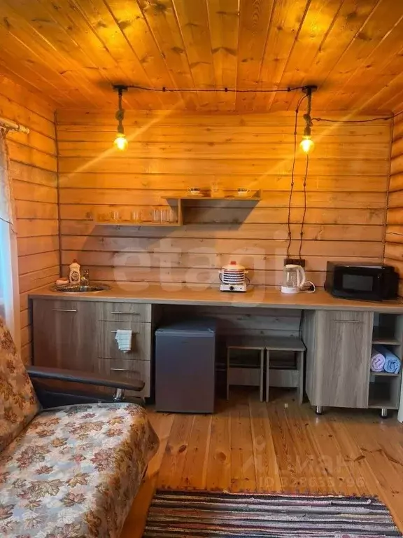 Помещение свободного назначения в Алтай, Чемальский район, с. Анос ул. ... - Фото 2