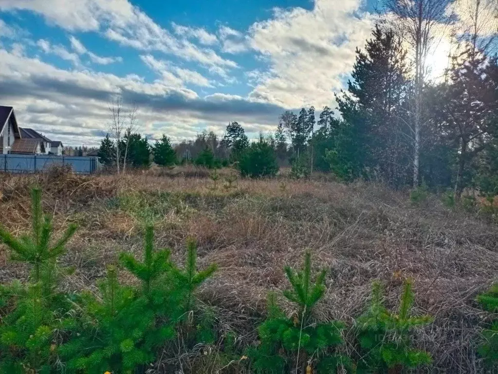 Участок в Свердловская область, Екатеринбург Созвездие Премиум ДПК,  ... - Фото 1