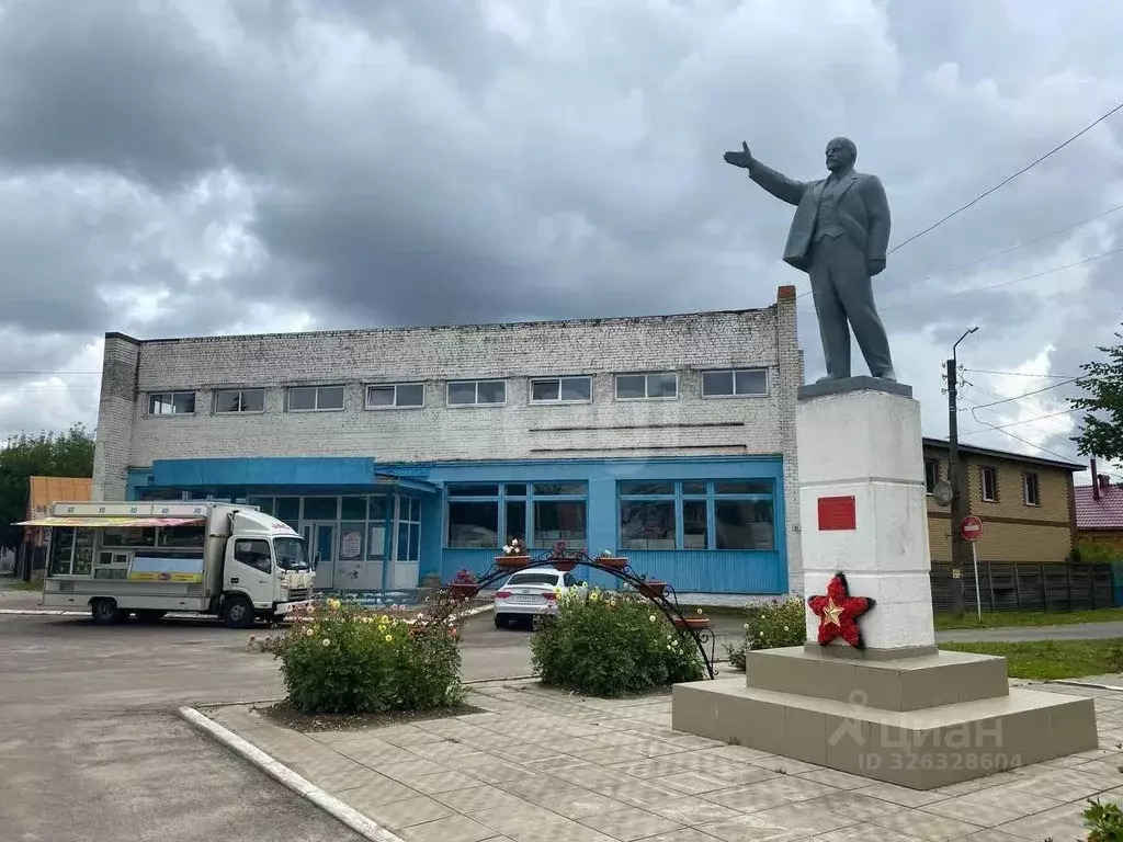 Торговая площадь в Калужская область, с. Перемышль ул. Ленина, 61 ... - Фото 2