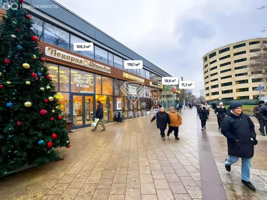 Помещение свободного назначения (30 м) - Фото 2