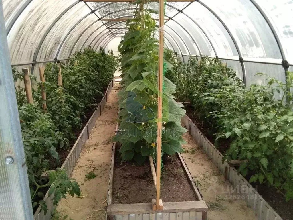 Участок в Самарская область, Шигонский район, с. Суринск Советская ... - Фото 2