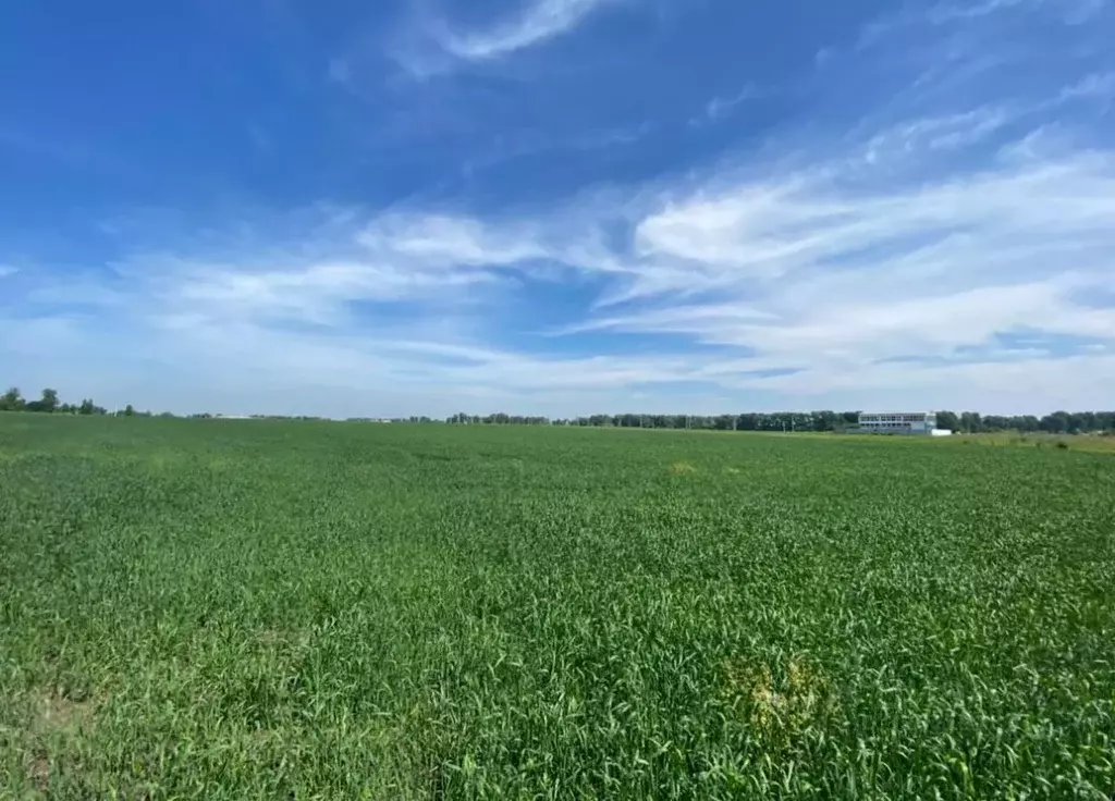 Участок в Новосибирская область, Новосибирский район, Морской ... - Фото 2