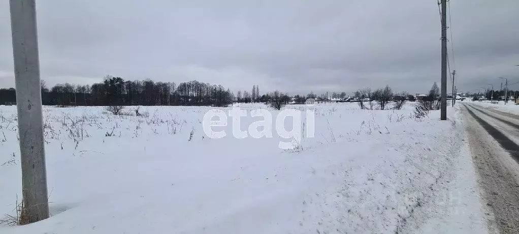 Участок в Брянская область, Брянский район, с. Глинищево ул. Брянская ... - Фото 1