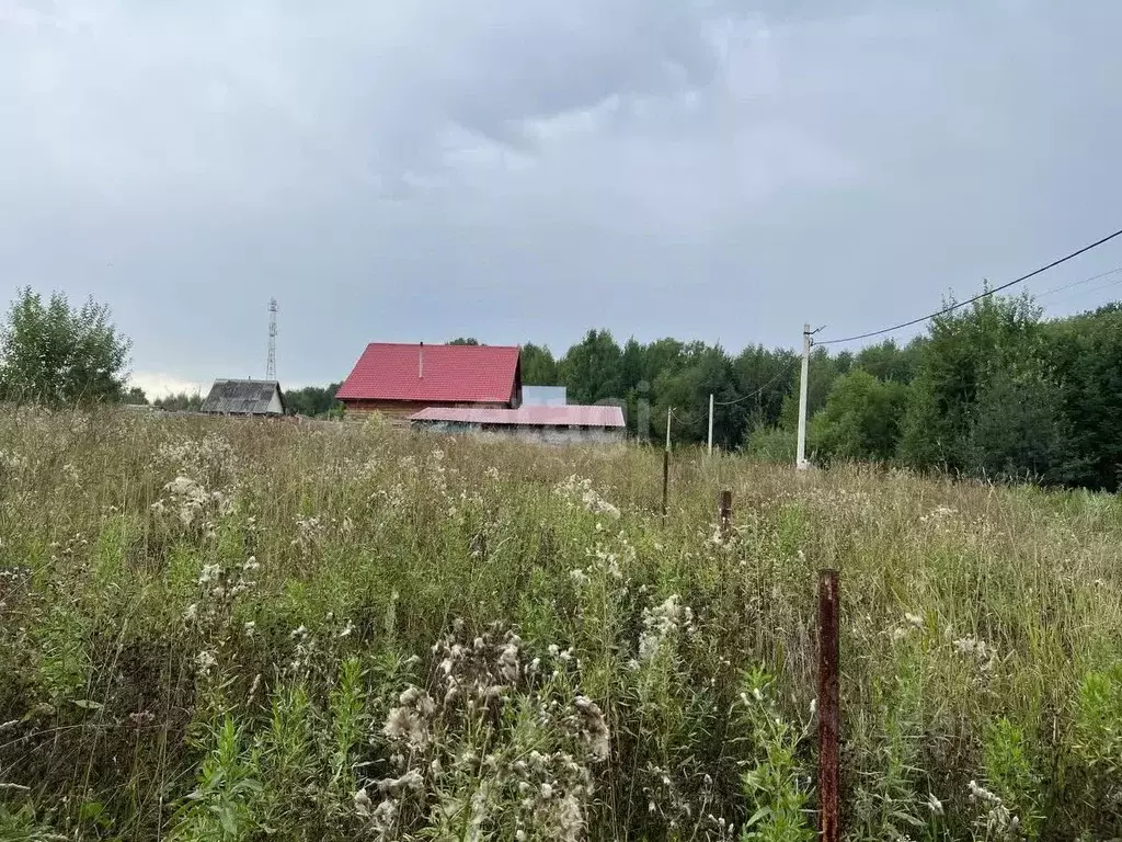 Участок в Кемеровская область, Кемеровский район, д. Береговая Новая ... - Фото 0