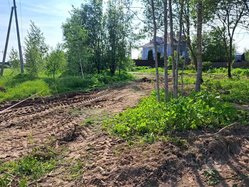 Участок в Московская область, Истра муниципальный округ, д. Манихино  ... - Фото 2