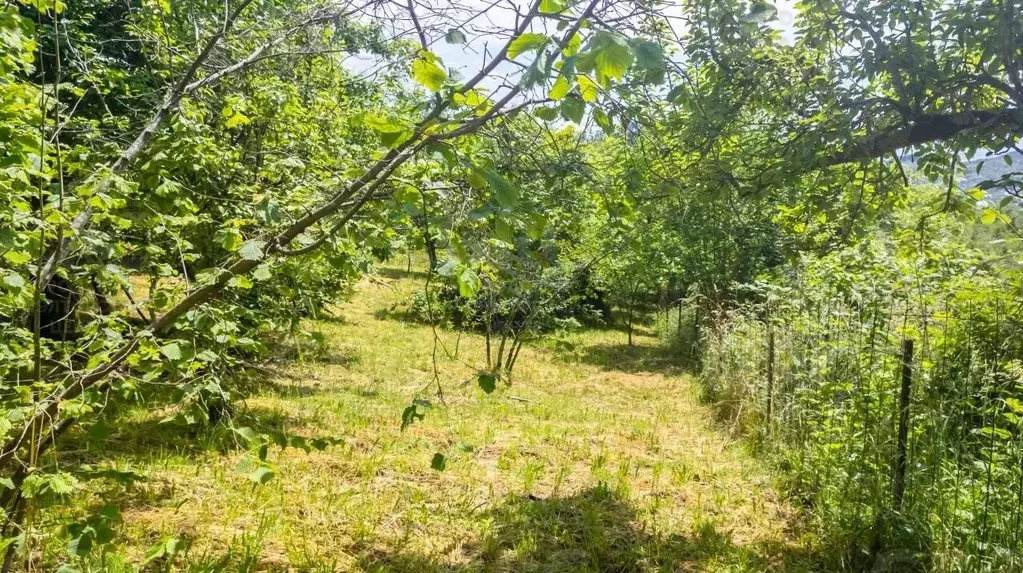 Участок в Краснодарский край, Сочи городской округ, с. Верхнеармянское ... - Фото 1