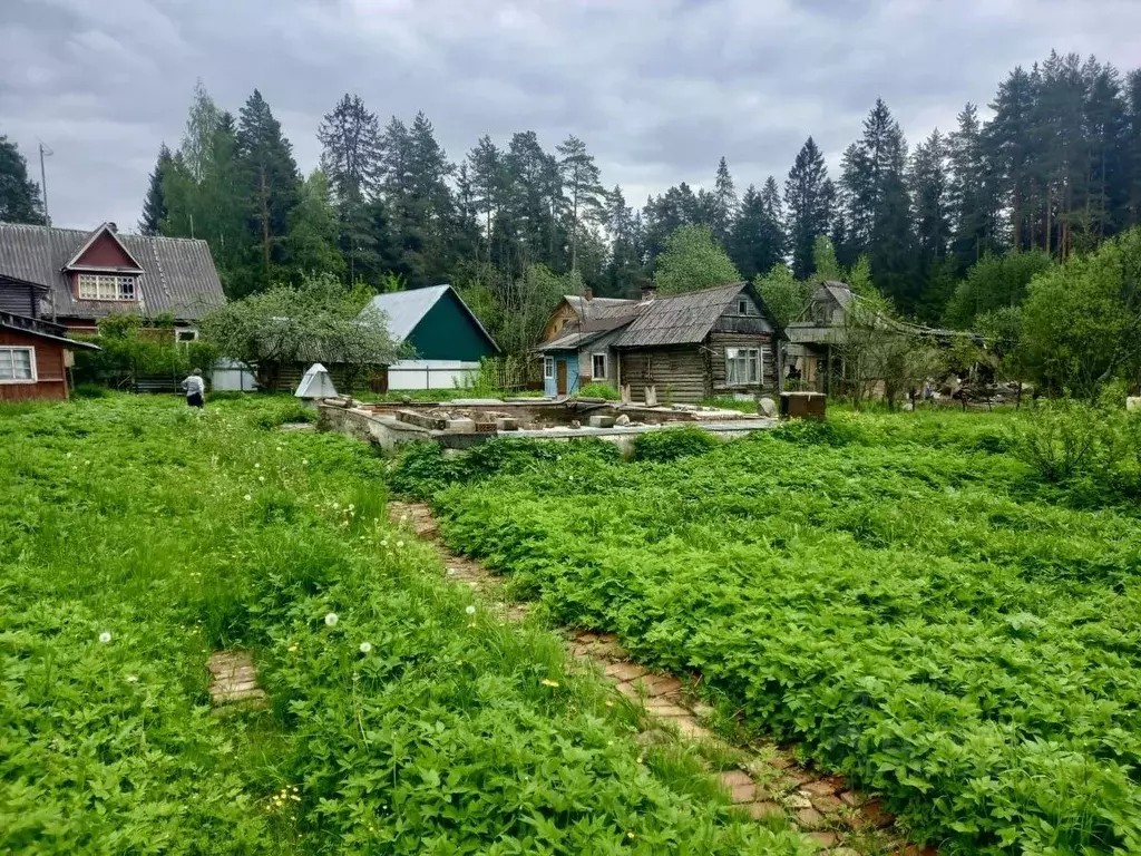 Участок в Ленинградская область, Гатчинский район, Вырица городской ... - Фото 0