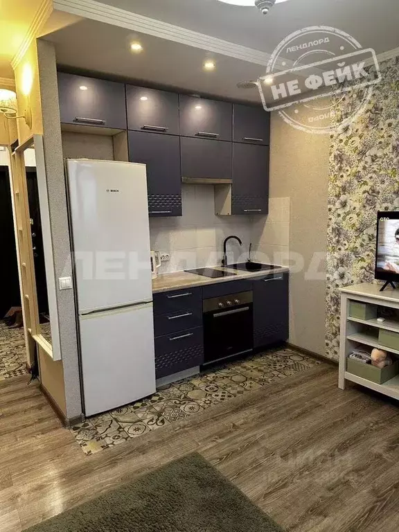 Студия Ростовская область, Ростов-на-Дону пер. Салютина, 2 (30.0 м) - Фото 1