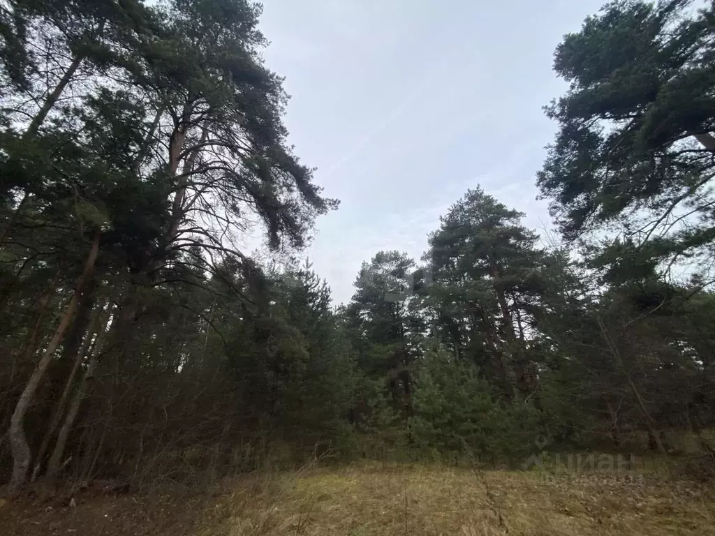 Участок в Тверская область, Тверь пос. Черкассы, ул. Дорожников, 9 ... - Фото 1