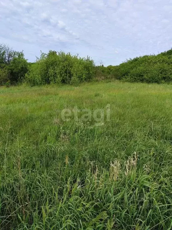 Участок в Воронежская область, Новоусманский район, Хреновское с/пос, ... - Фото 0
