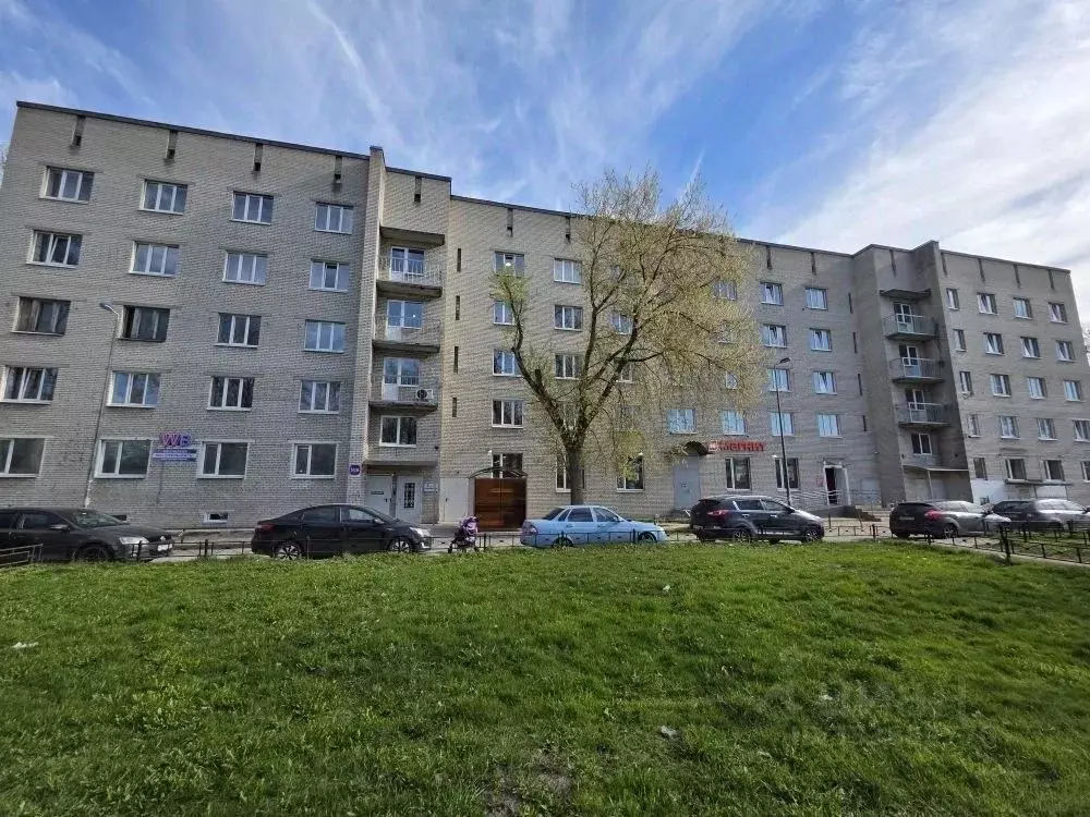 Помещение свободного назначения в Санкт-Петербург ул. Пилотов, 13 (90 ... - Фото 2