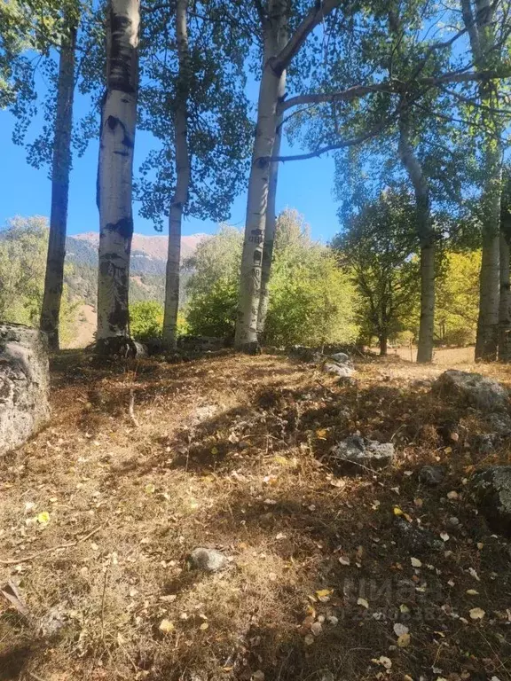 Участок в Карачаево-Черкесия, Теберда Карачаевский городской округ, ... - Фото 2