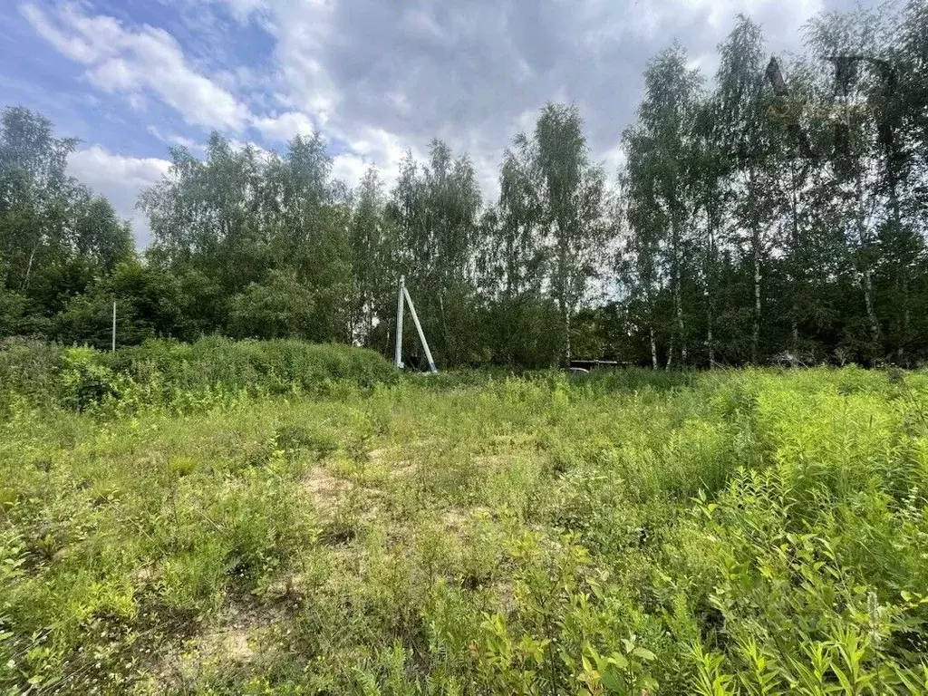 Участок в Московская область, Ленинский городской округ, д. Петрушино ... - Фото 0