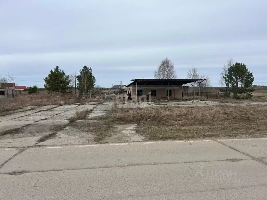 Участок в Тюменская область, Нижнетавдинский муниципальный округ, с. ... - Фото 1