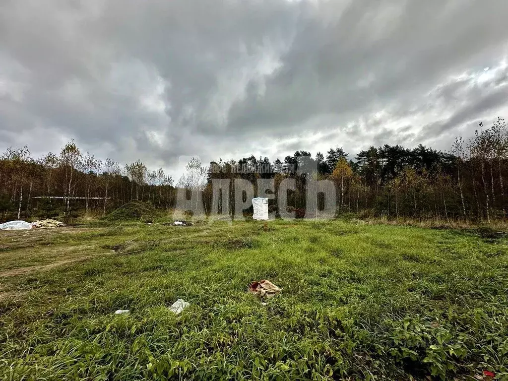 Участок в Калужская область, Жуков ул. Парковая, 11 (10.0 сот.) - Фото 0