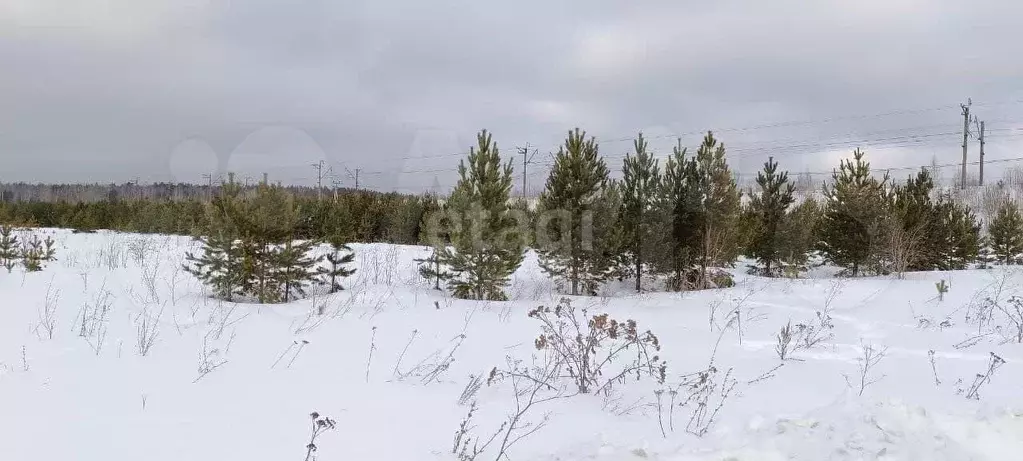 Участок 8,9 сот. (ИЖС) - Фото 1