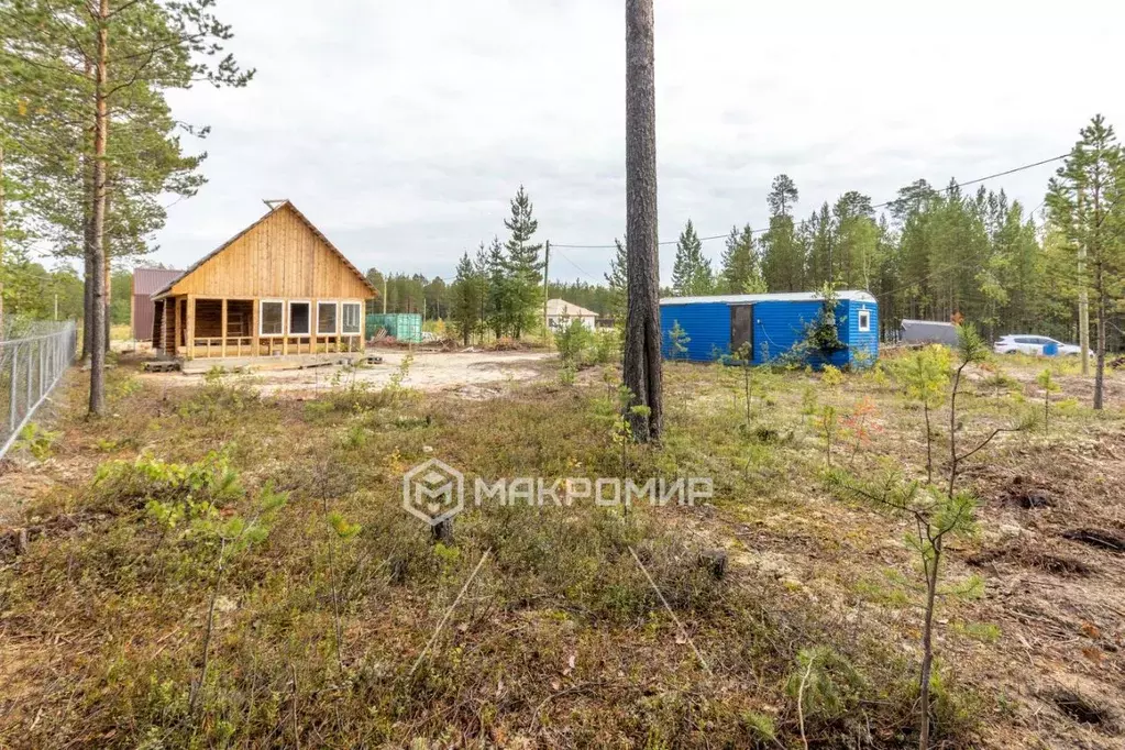 Участок в Ханты-Мансийский АО, Сургут Алтай ДНТ, 93 (9.0 сот.) - Фото 0