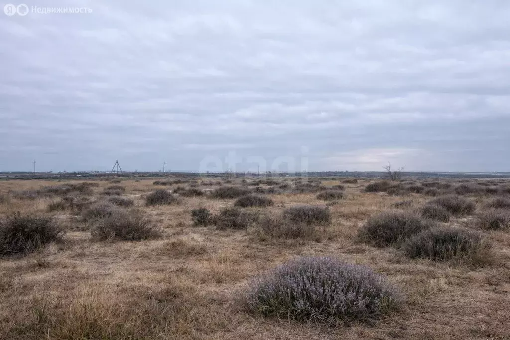 Участок в Чистенское сельское поселение, территория Новозбурьевка 1 ... - Фото 2