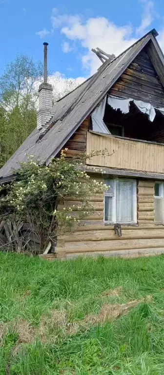 Дом 50 м на участке 6,4 сот. - Фото 1