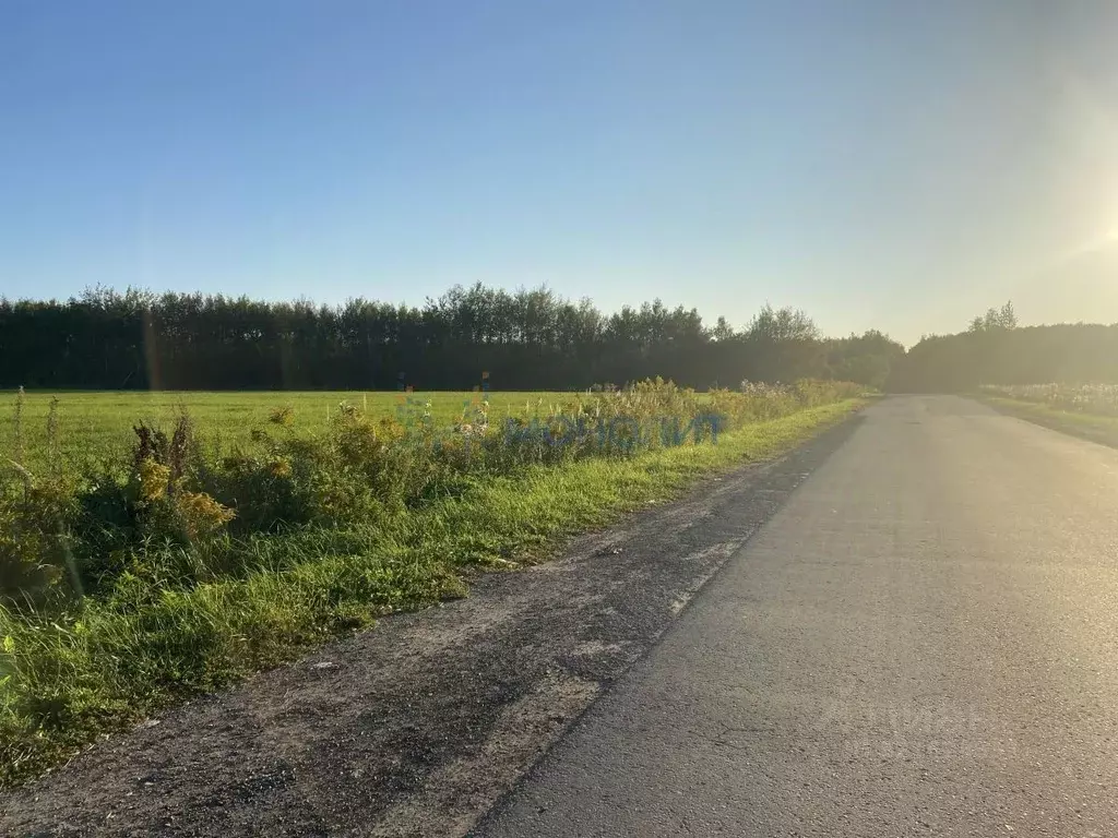 Участок в Нижегородская область, Богородский муниципальный округ, с. ... - Фото 1