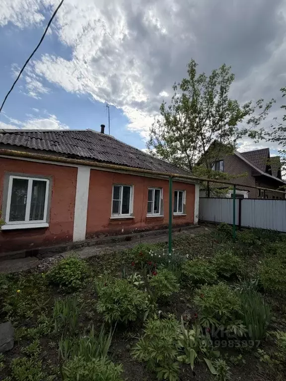 Дом в Белгородская область, Губкин Северная ул., 15 (53 м) - Фото 1