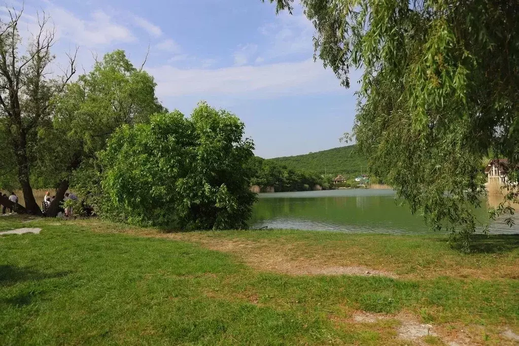 Участок в Краснодарский край, Новороссийск городской округ, ... - Фото 1