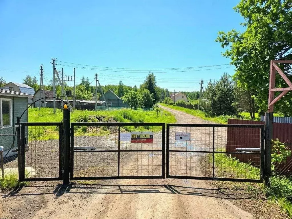 Участок в Московская область, Ступино городской округ, Ясень СНТ 175 ... - Фото 1