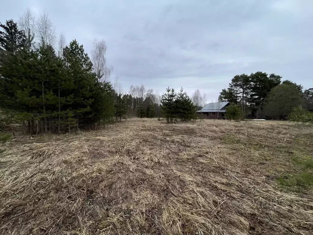 Участок в Московская область, Рузский муниципальный округ, с. ... - Фото 2