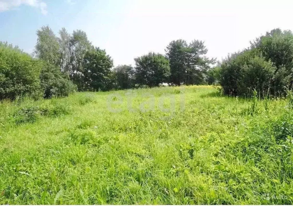 Участок в Брянская область, Брянский район, Новодарковичское с/пос, д. ... - Фото 2