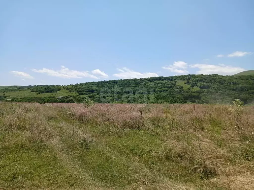 Участок в Ставропольский край, Предгорный муниципальный округ, пос. ... - Фото 0
