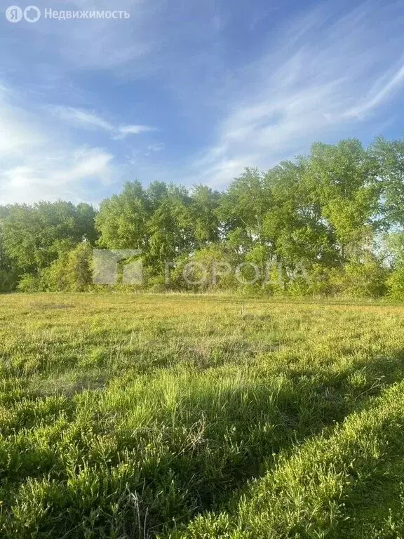 Участок в Новосибирский район, Морской сельсовет (9.1 м) - Фото 2
