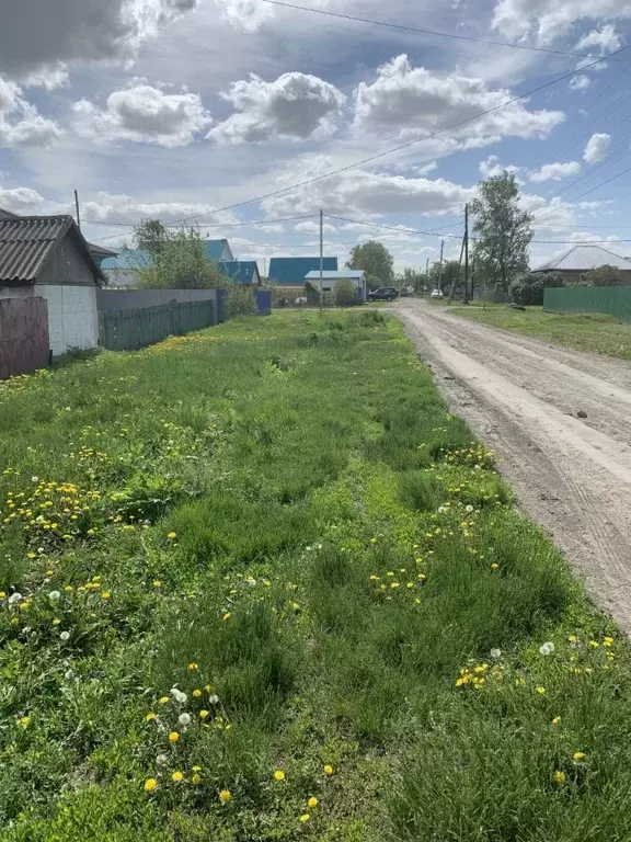 Участок в Алтайский край, Павловский район, с. Шахи Новая ул., 14 ... - Фото 2