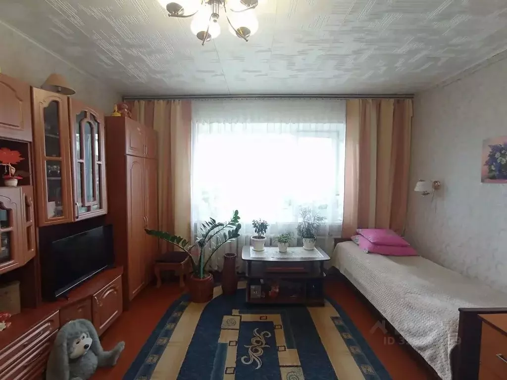 1-к кв. Костромская область, Буй ул. Кончина, 23 (26.2 м) - Фото 1