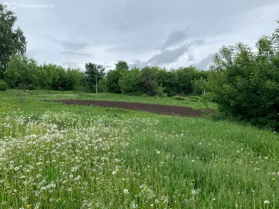 Дом в Тульская область, Венёвский муниципальный округ, село Хрусловка, ... - Фото 1