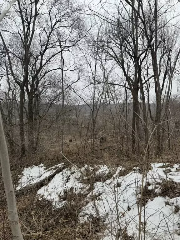 Участок в Приморский край, Артём (11.83 м) - Фото 2